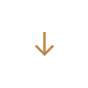button down arrow